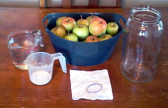 apple-cider-vinegar-ingredients