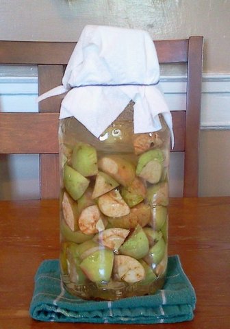 apple-cider-vinegar-must