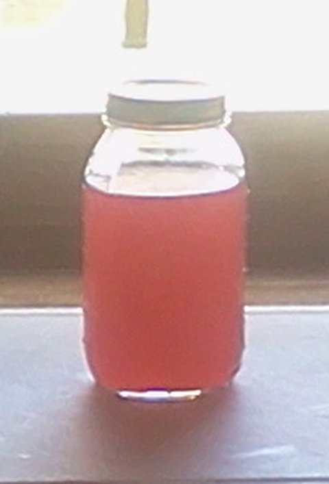 crabapple-cider-vinegar